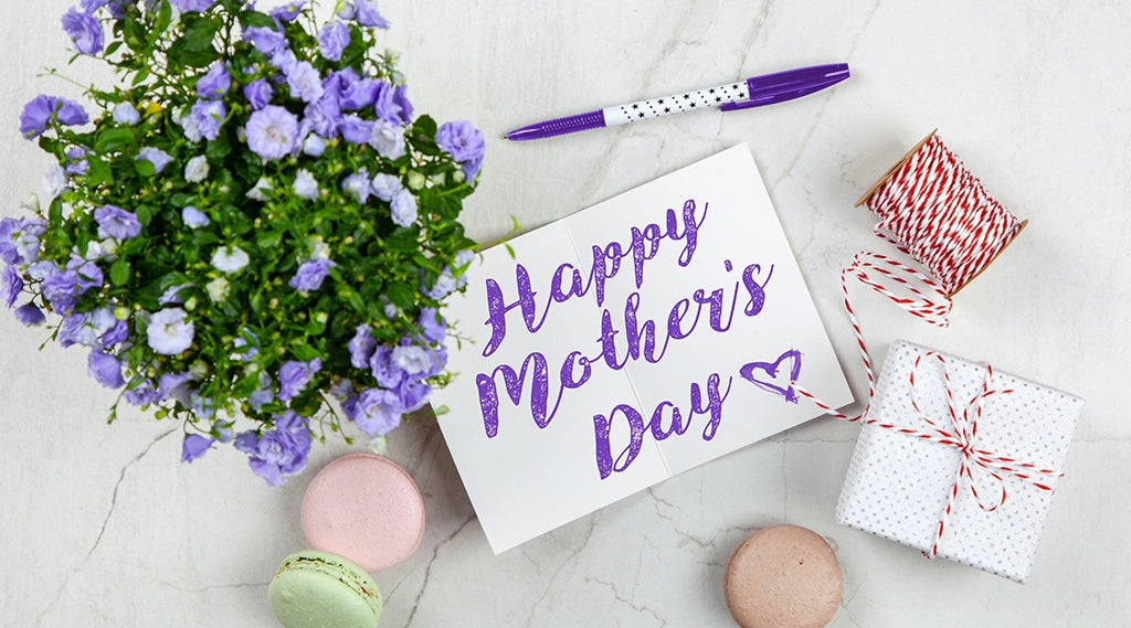 Special Gift Ideas for Mother’s Day from Robotime