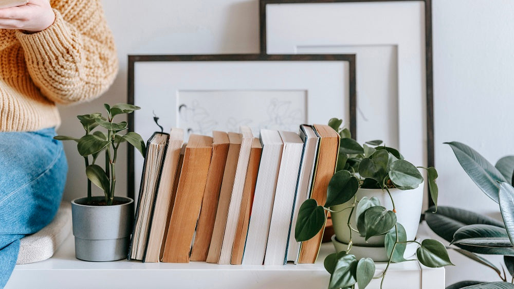 Why You Need A Book Nook for Your Bookshelves?