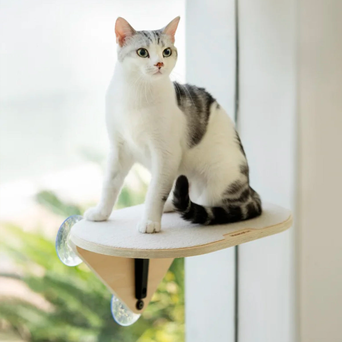 Air Cat Climbing Frame