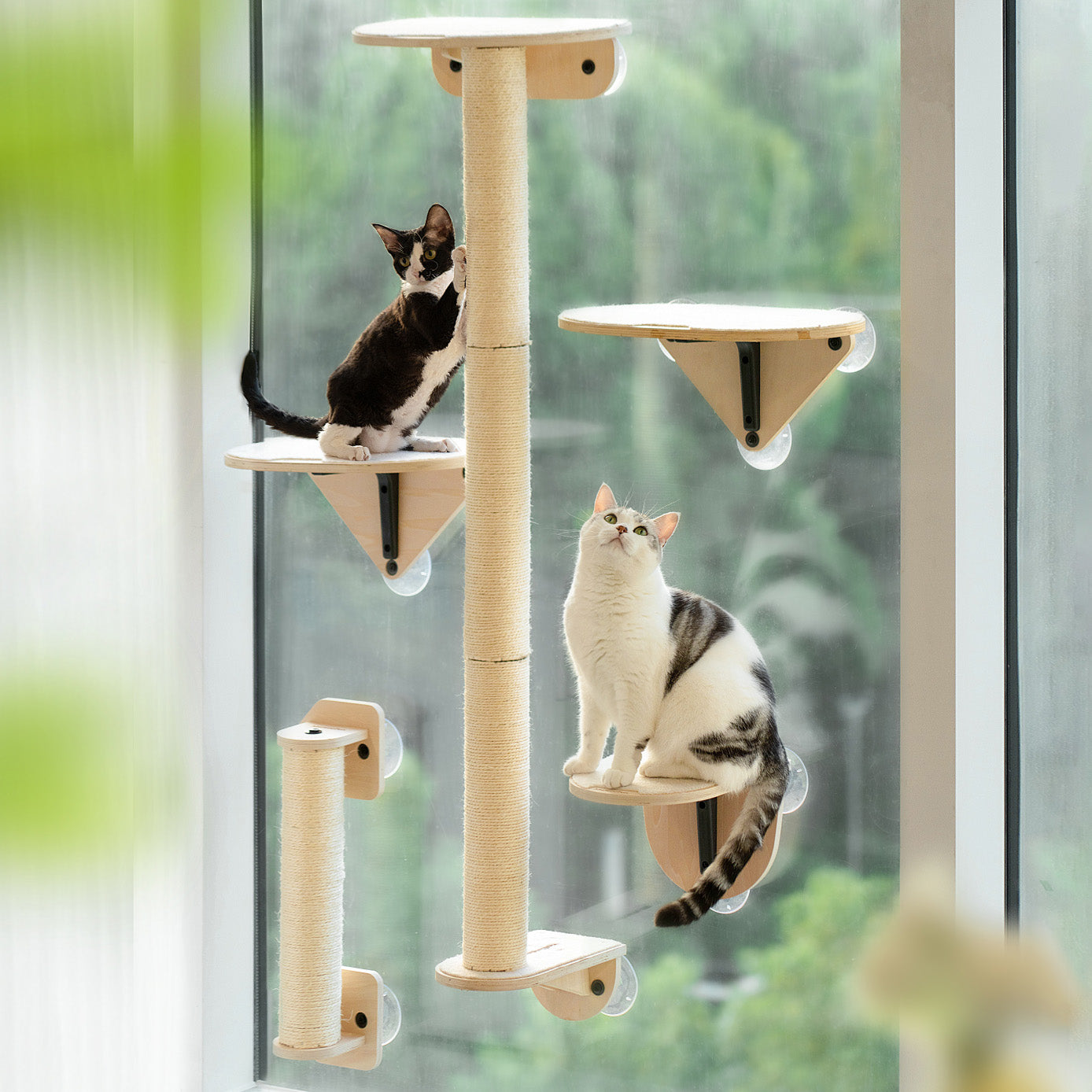 MewooFun Kattenklimtoren - Sky High Tower