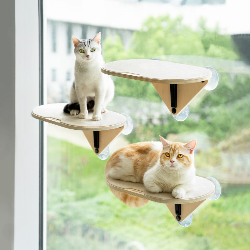 Air Cat Climbing Frame