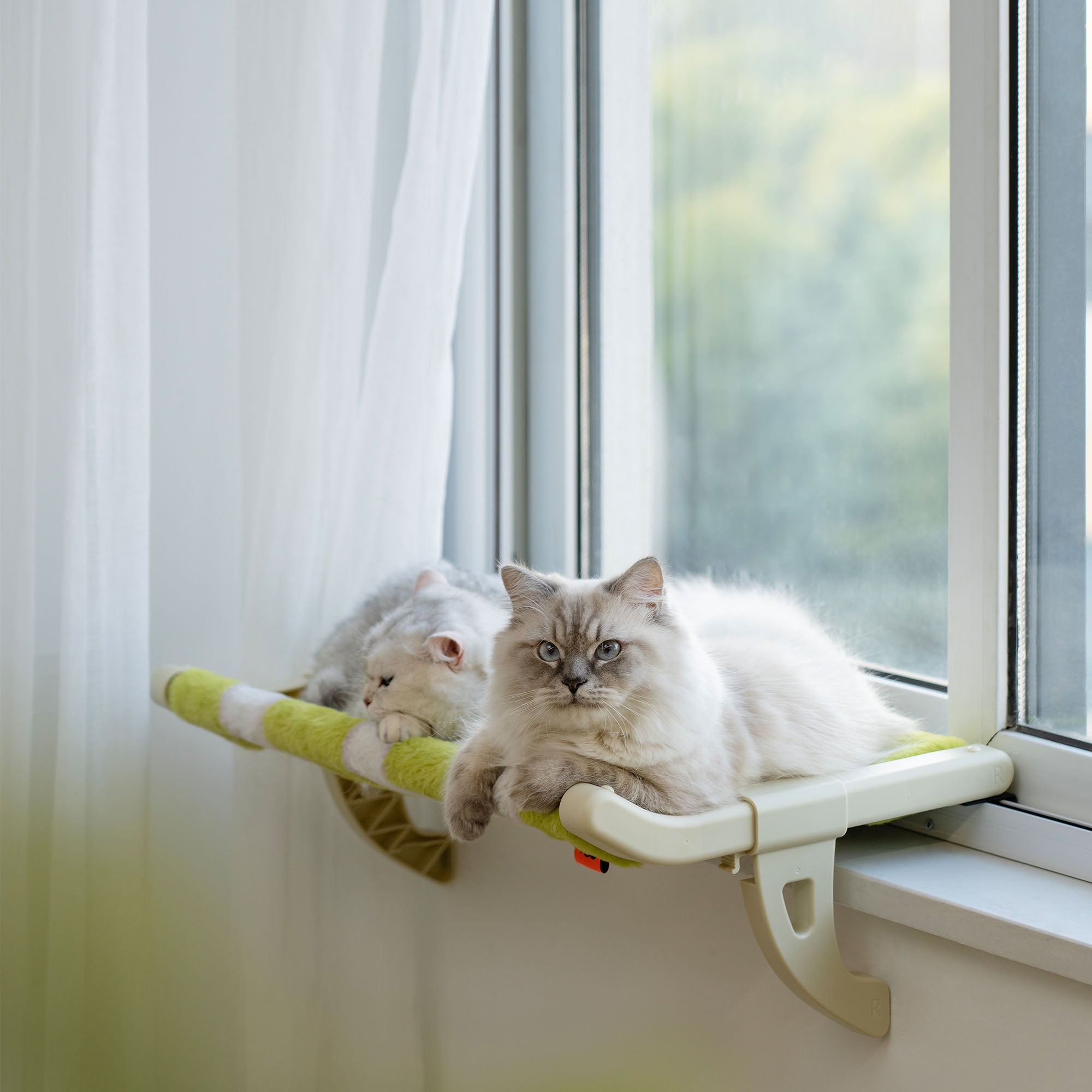 Home Warm Couch Cat Window Perch