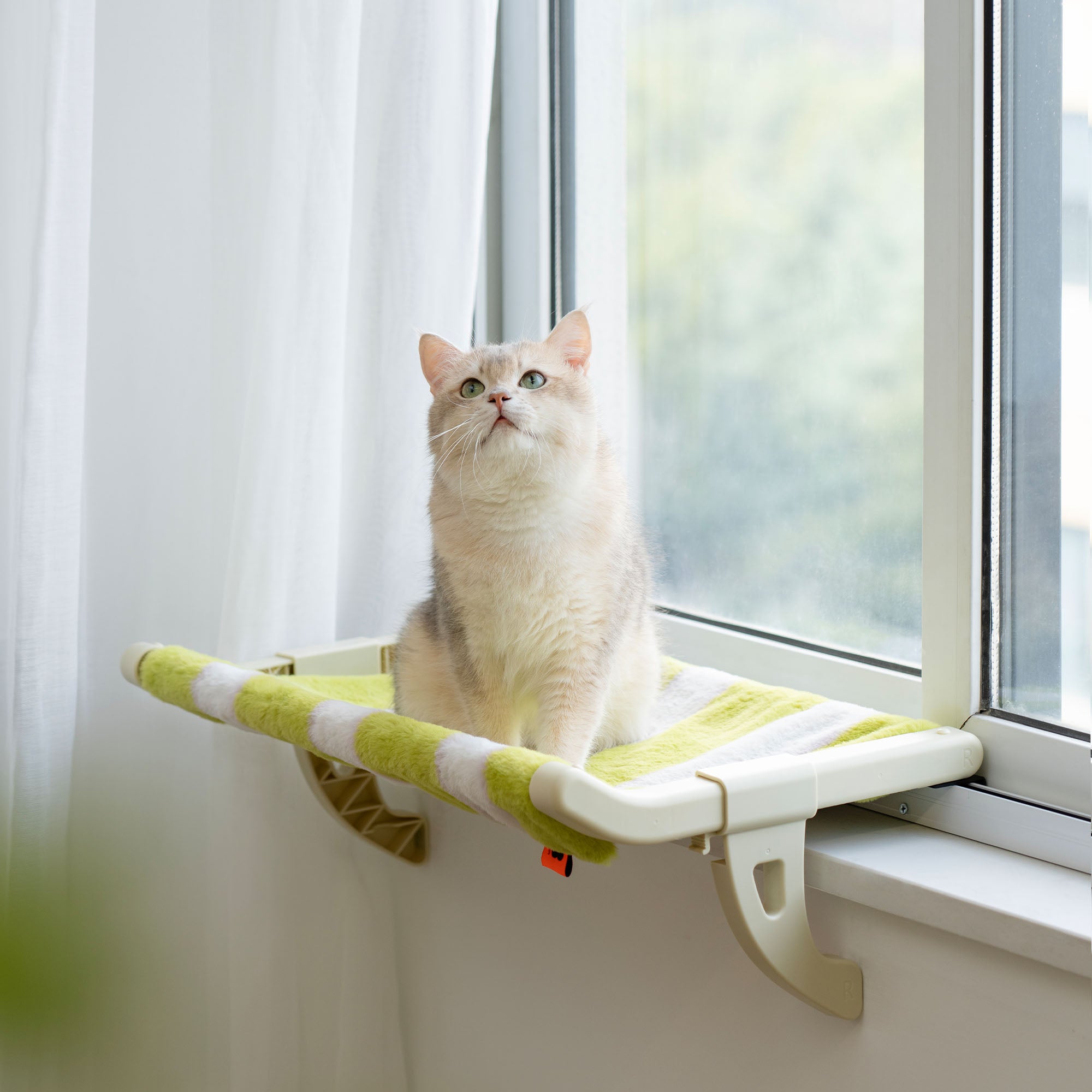 Home Warm Couch Cat Window Perch