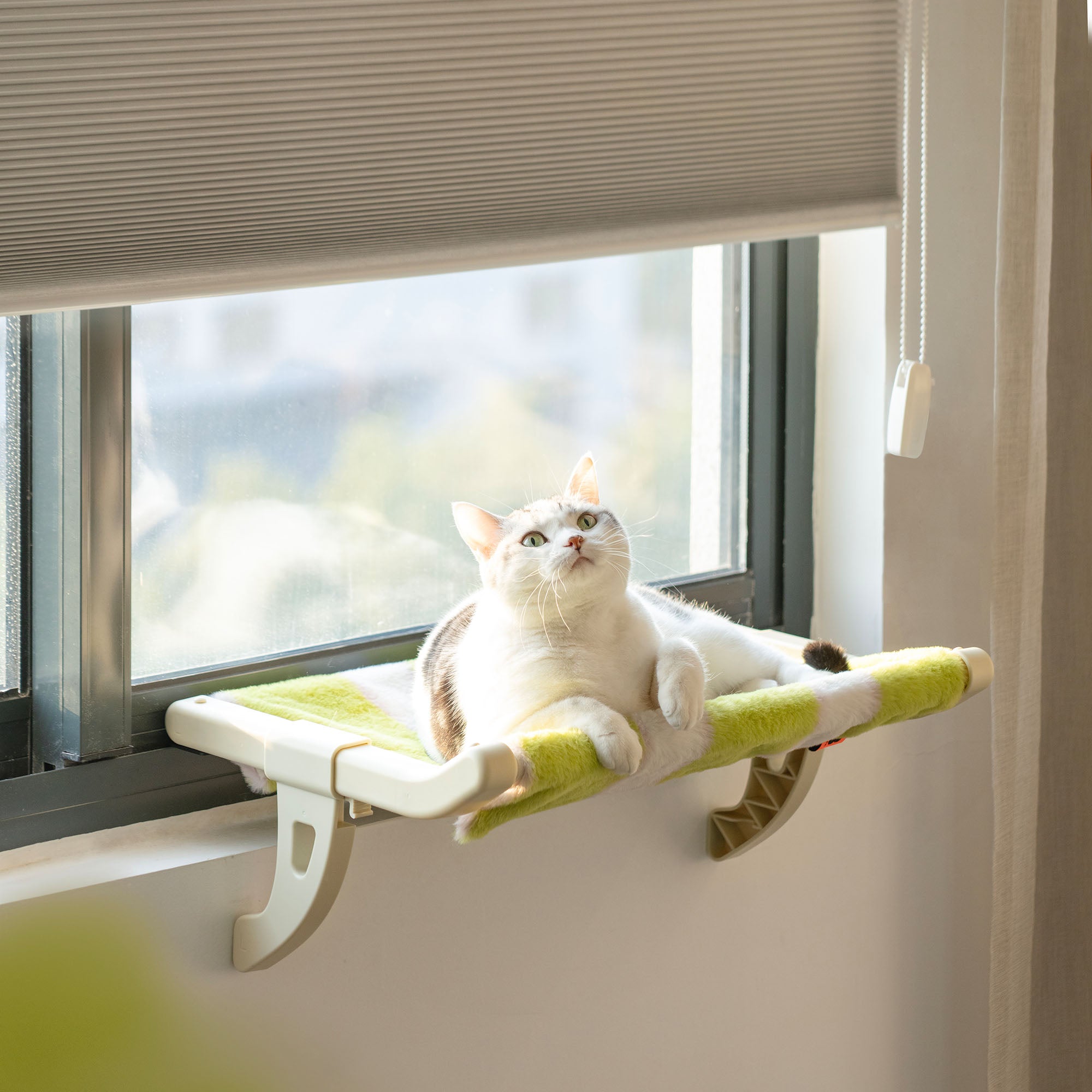 Home Warm Couch Cat Window Perch