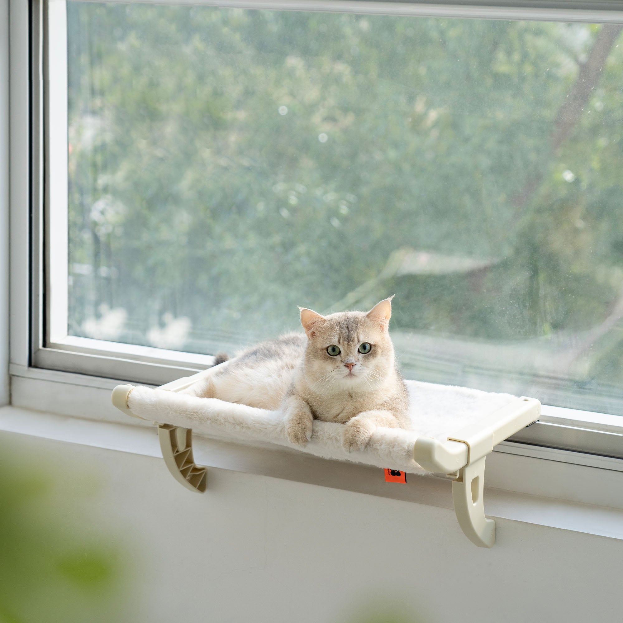 Home Warm Couch Cat Window Perch