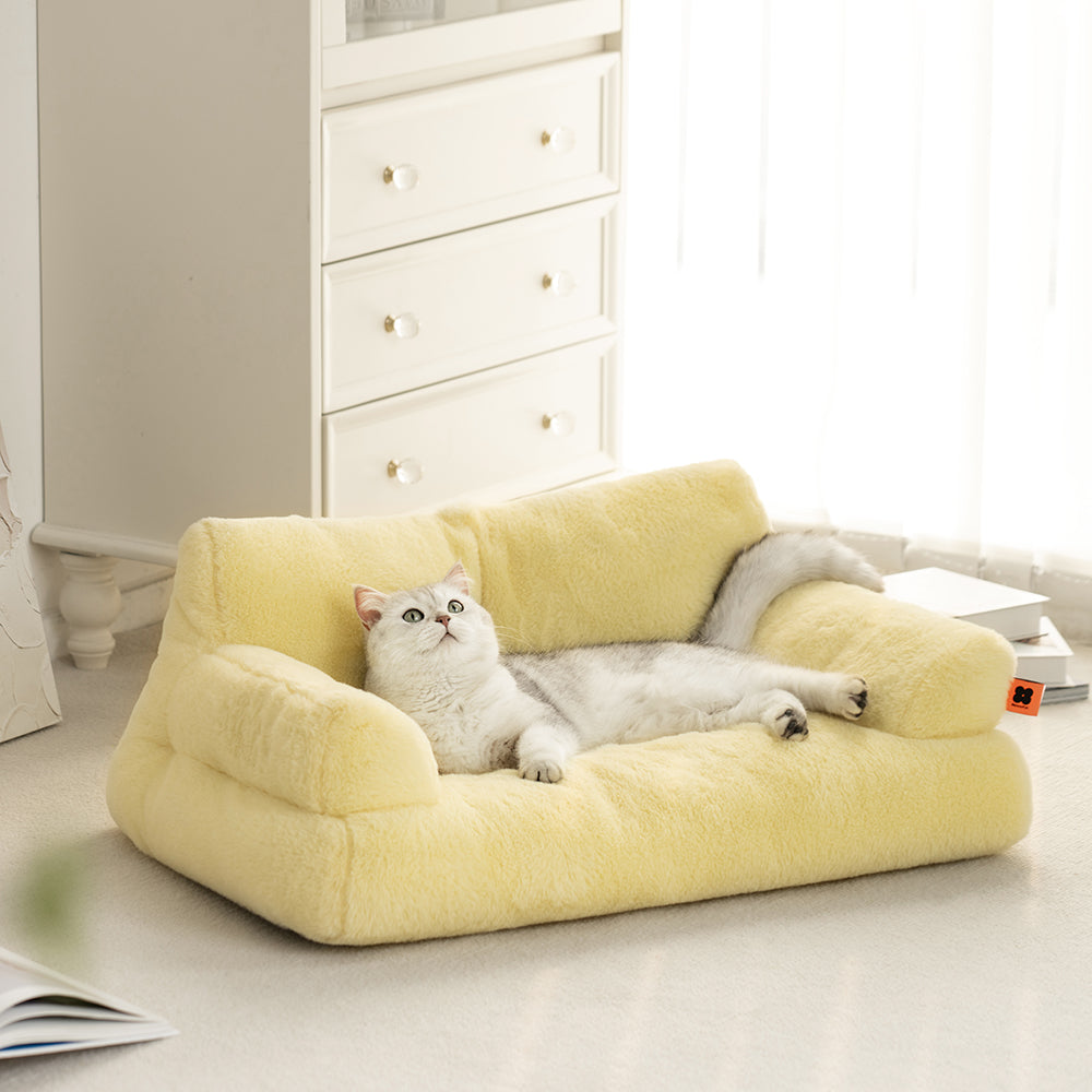 Pet Couch Bed