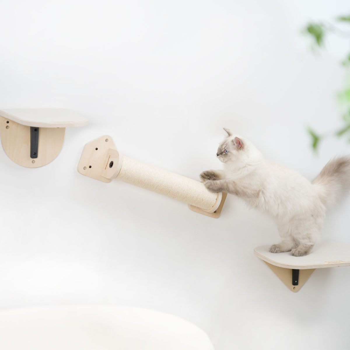 Air Cat Climbing Frame