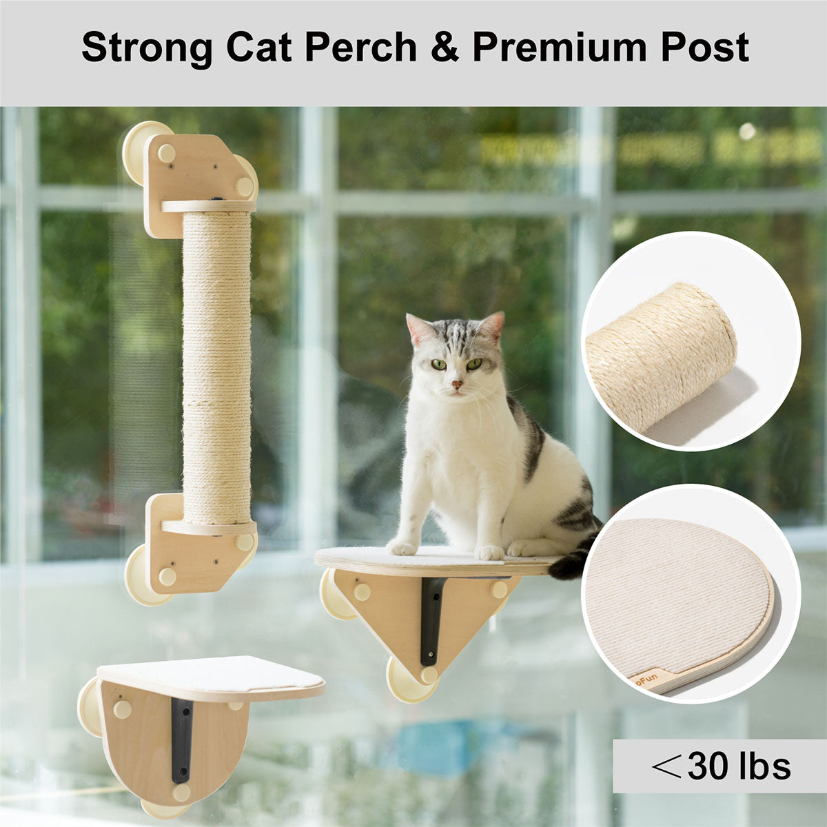 Air Cat Climbing Frame