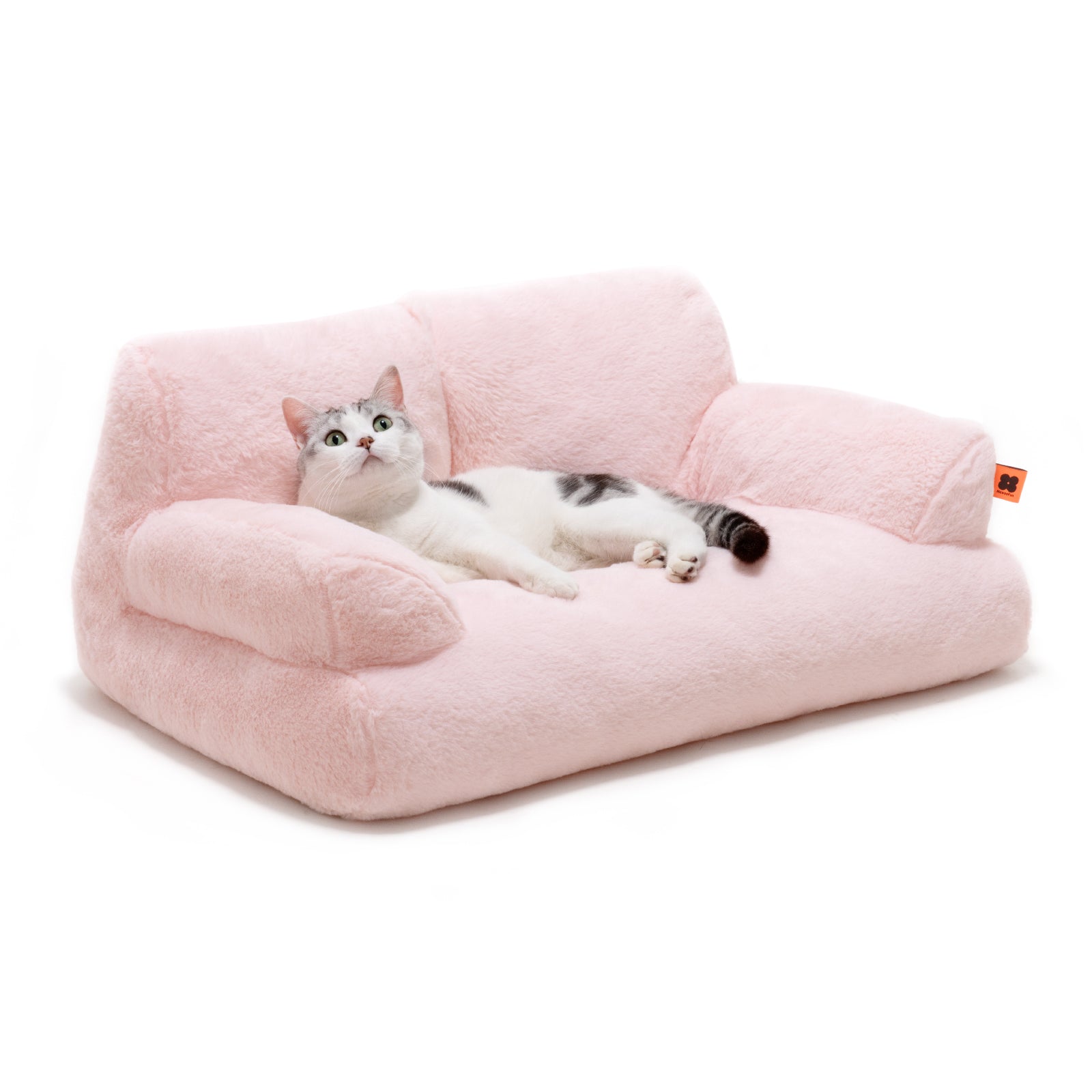 Pet Couch Bed