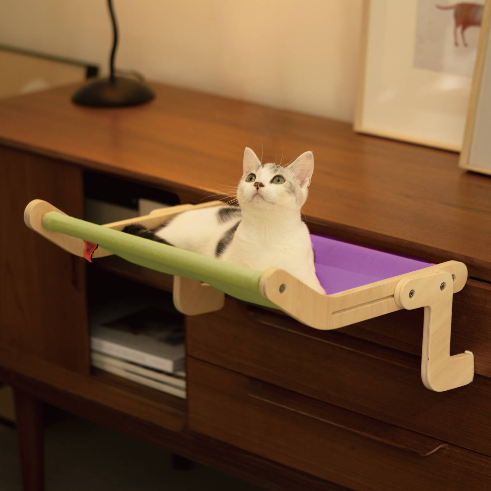 Perchoir pour chat Mewoofun pour fenêtre 