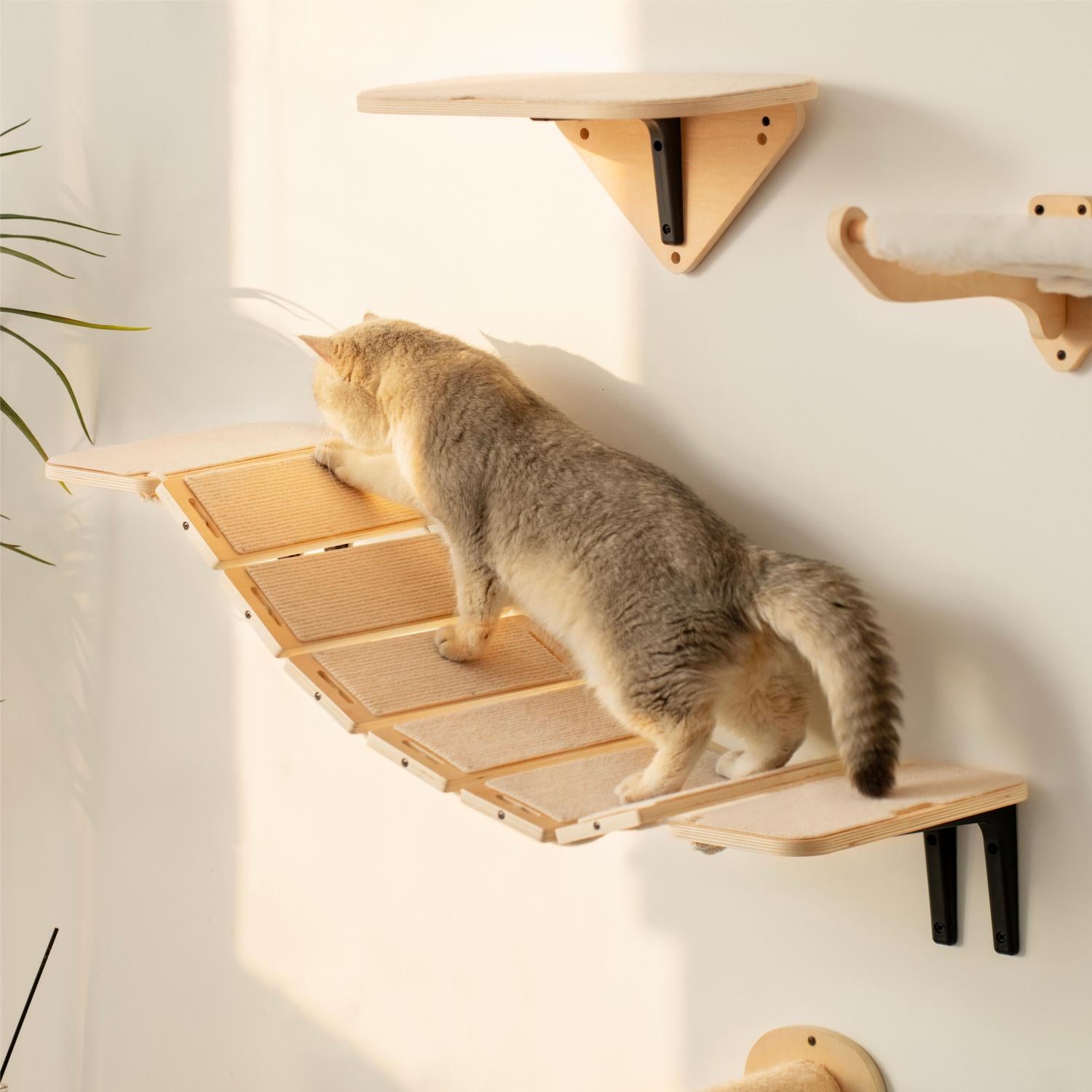 Air Cat Climbing Frame