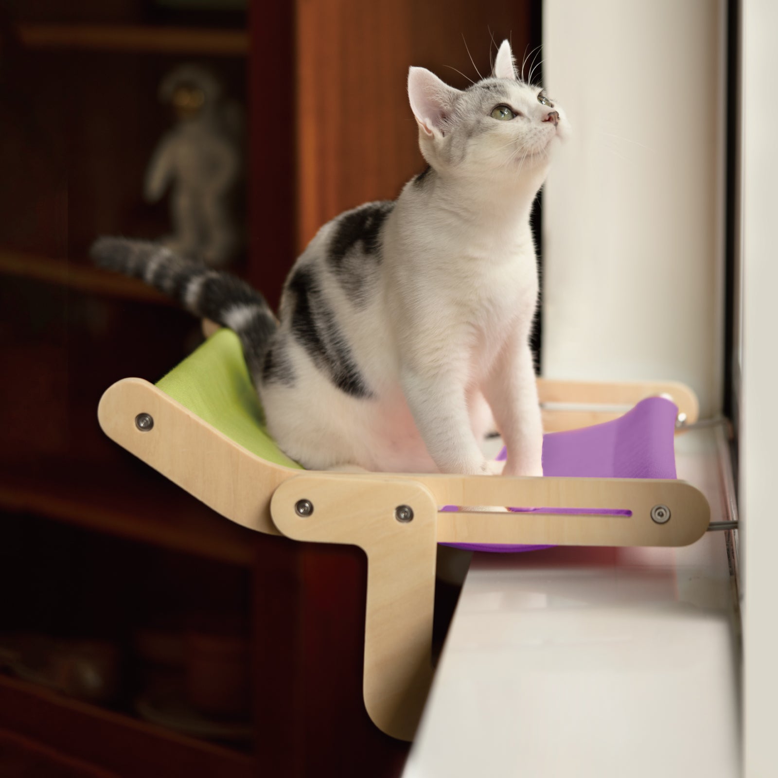 Perchoir pour chat Mewoofun pour fenêtre 