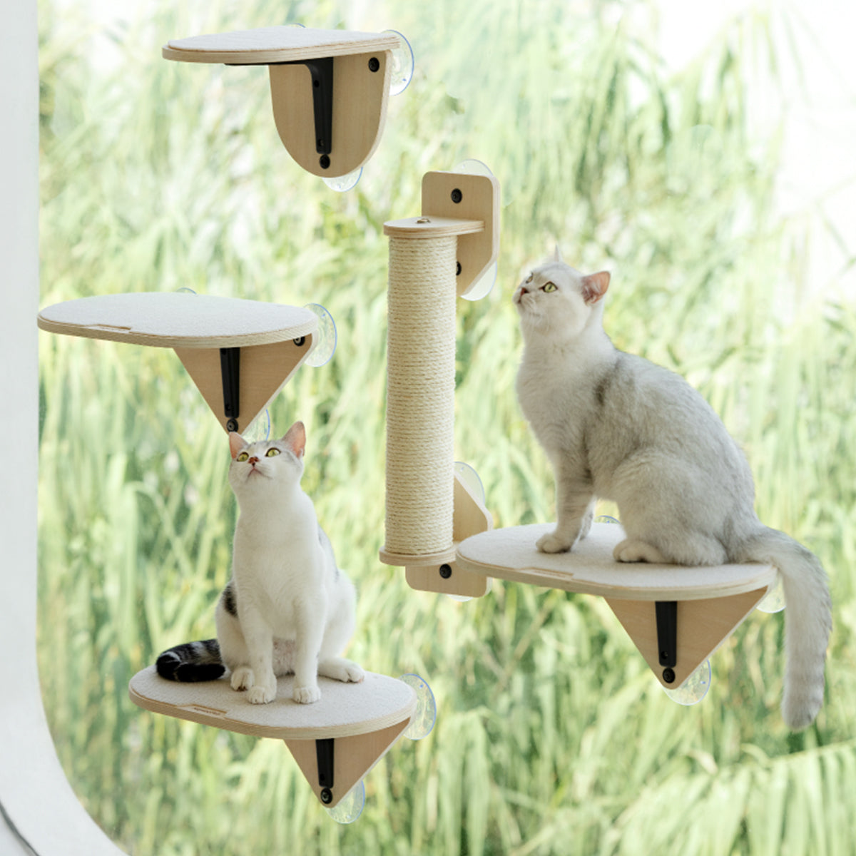 Air Cat Climbing Frame