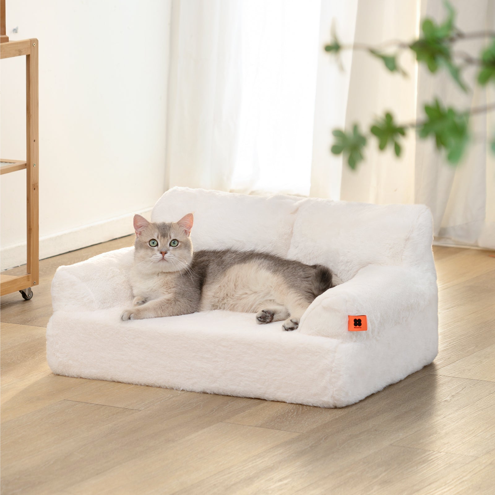 Pet Sofa Bed - Foam Version