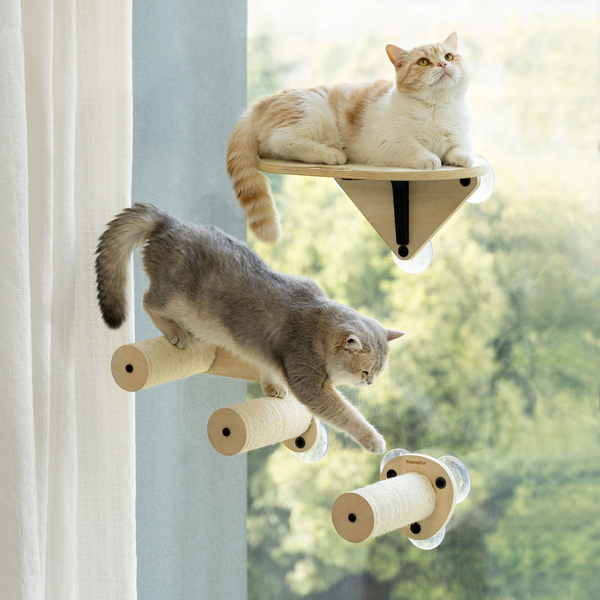 Air Cat Climbing Frame