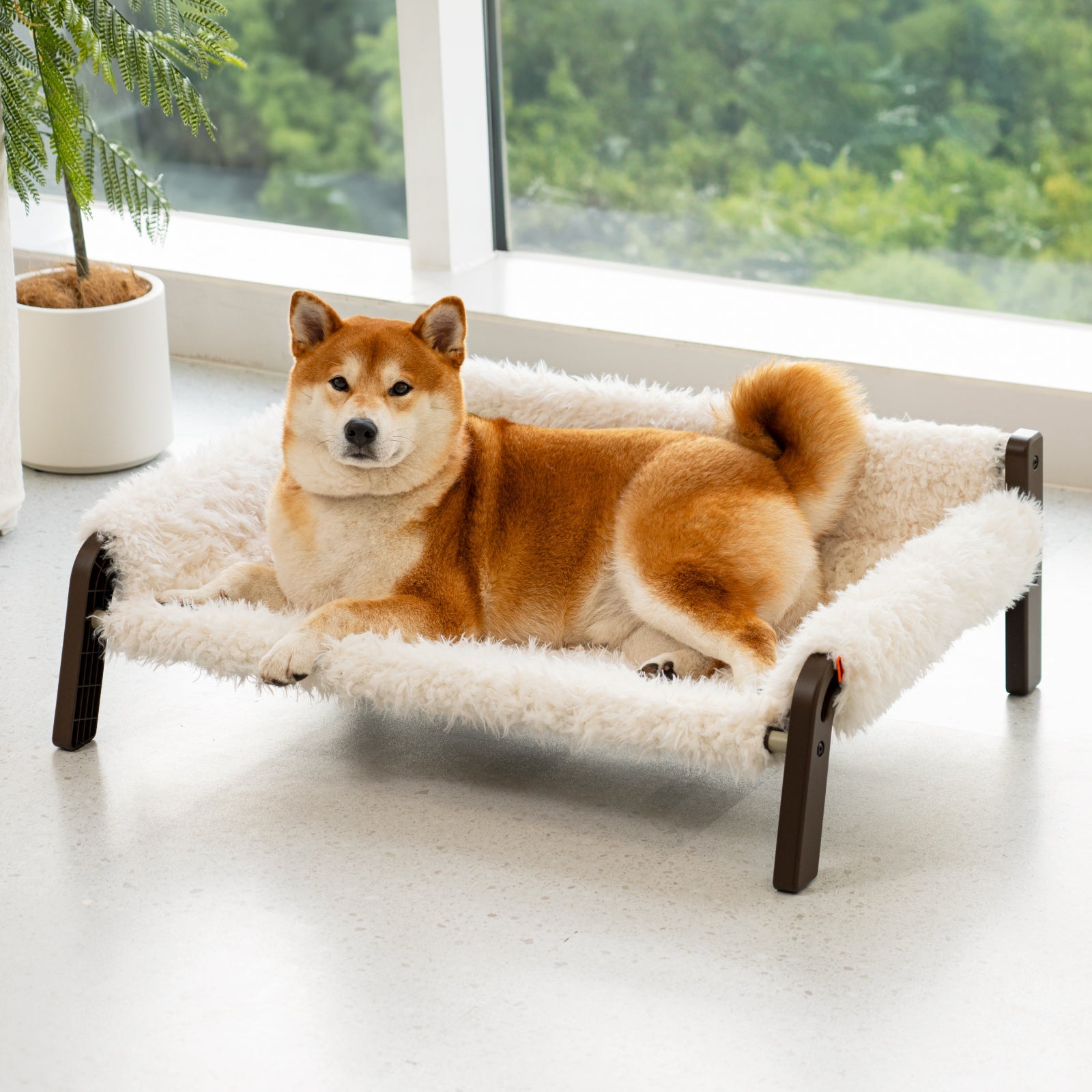 Calming Elevated Pet Bed