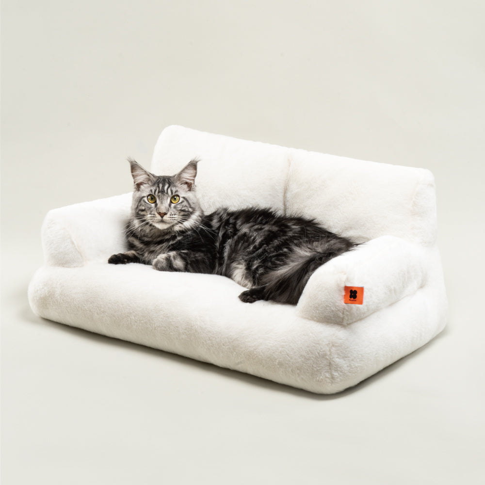 Pet Couch Bed