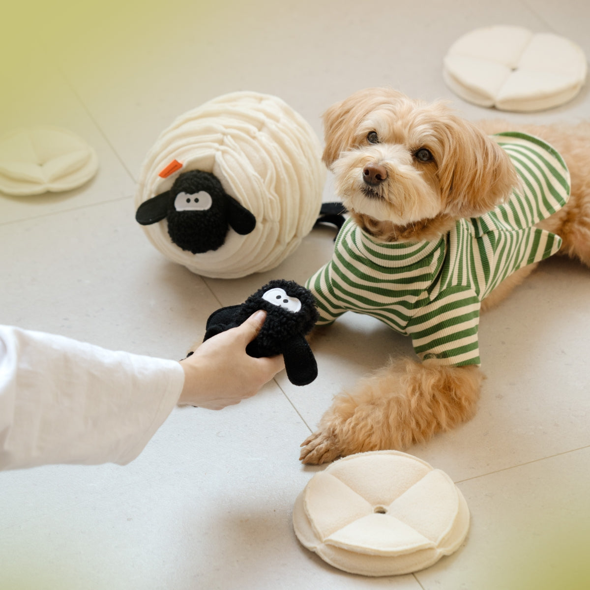 Cute Lamb Dog & Cat Snuffle Toy