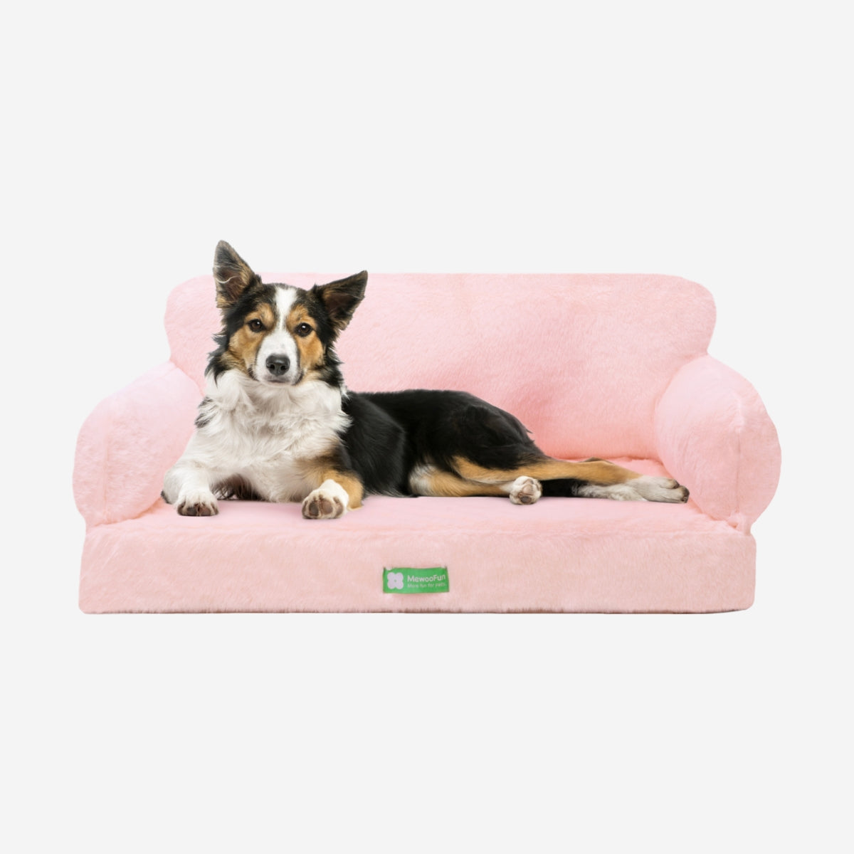 Macaron Orthopedic Cat & Dog Sofa