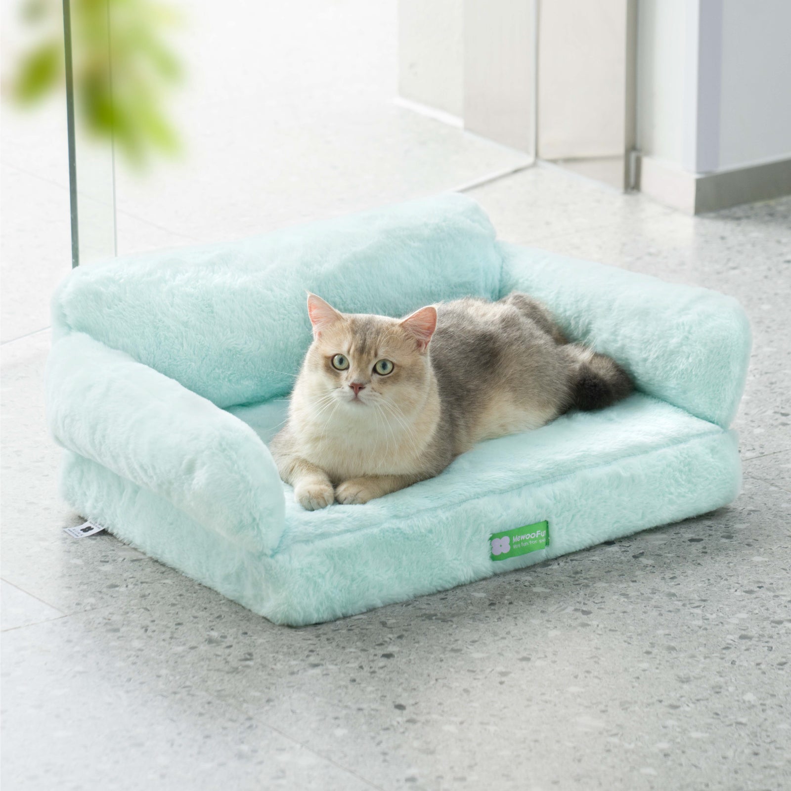 Macaron Orthopedic Cat & Dog Sofa