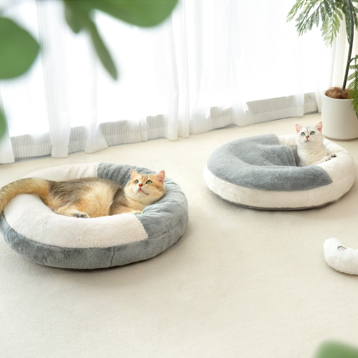 Donut Pet Bed with Hooded Blanket