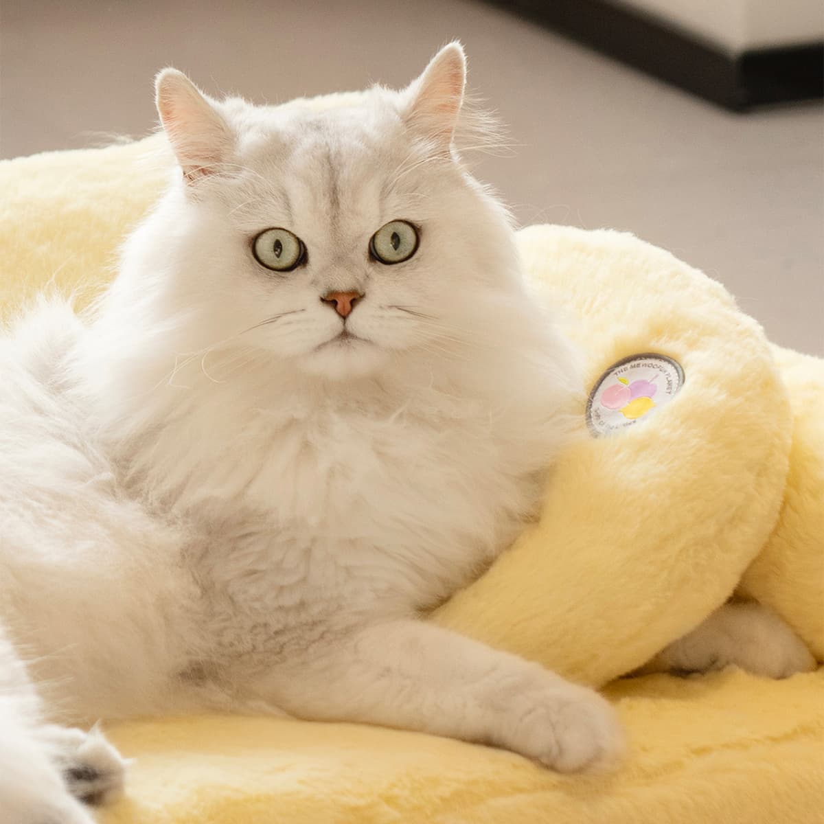 Macaron Pet Pillow