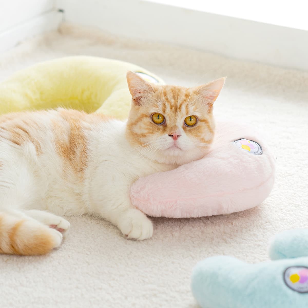 Macaron Pet Pillow