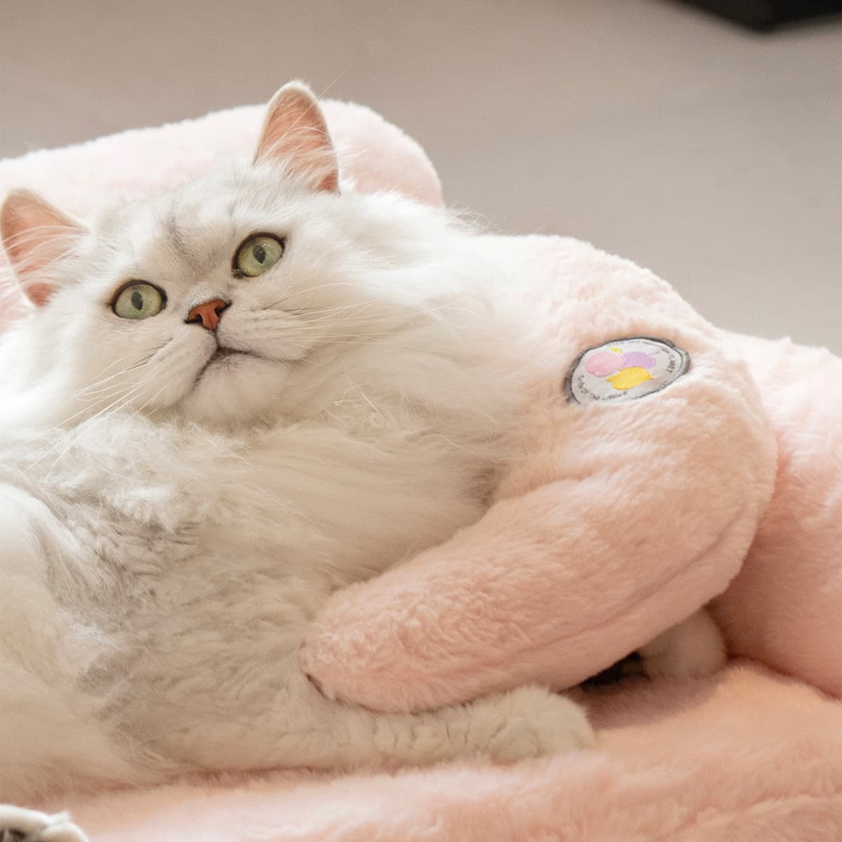 Macaron Pet Pillow