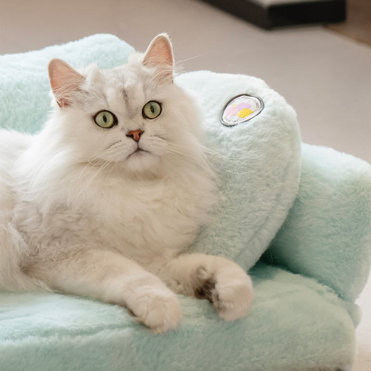 Macaron Pet Pillow