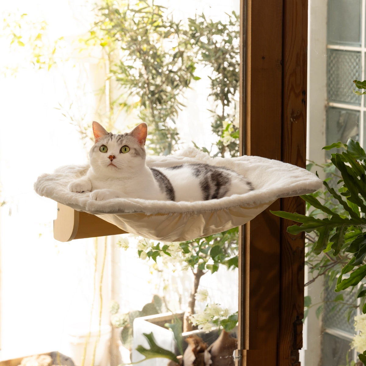 Steinway Cat Window Bed