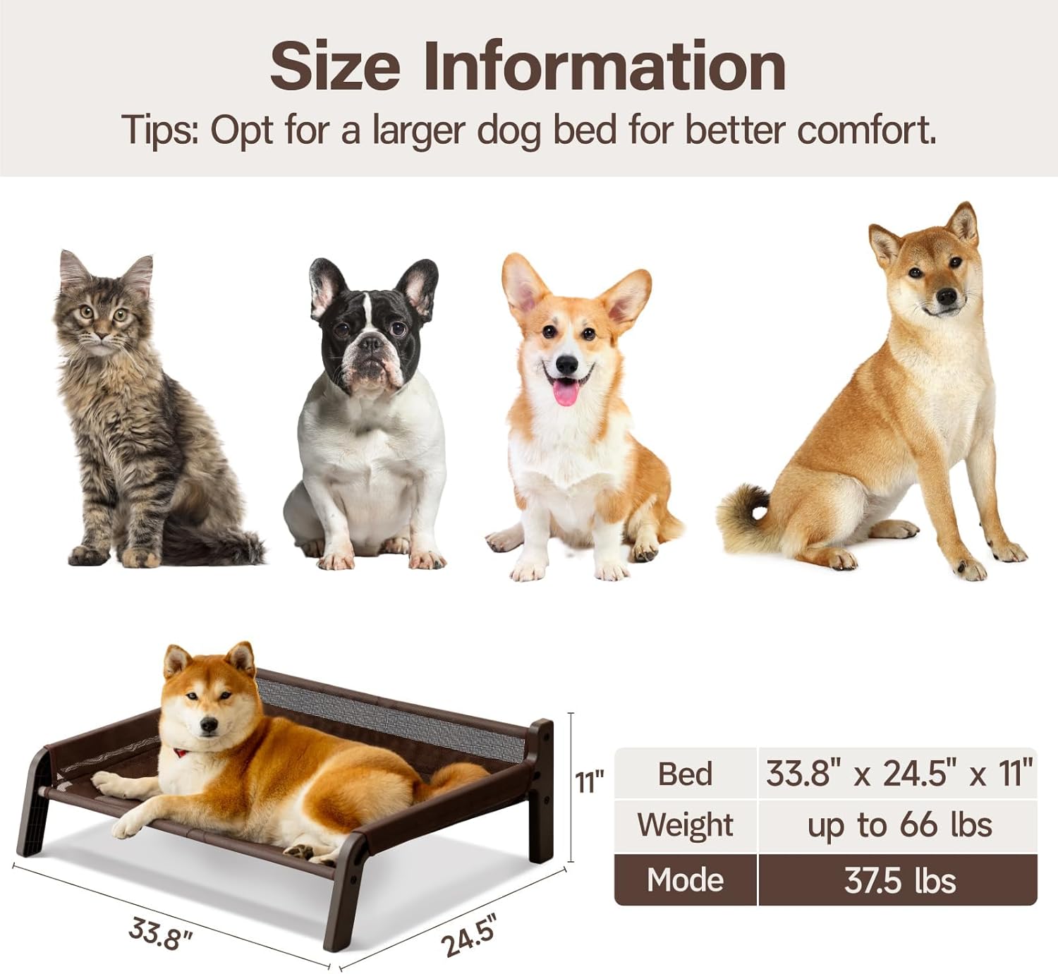 Cooling Elevated Pet Bed