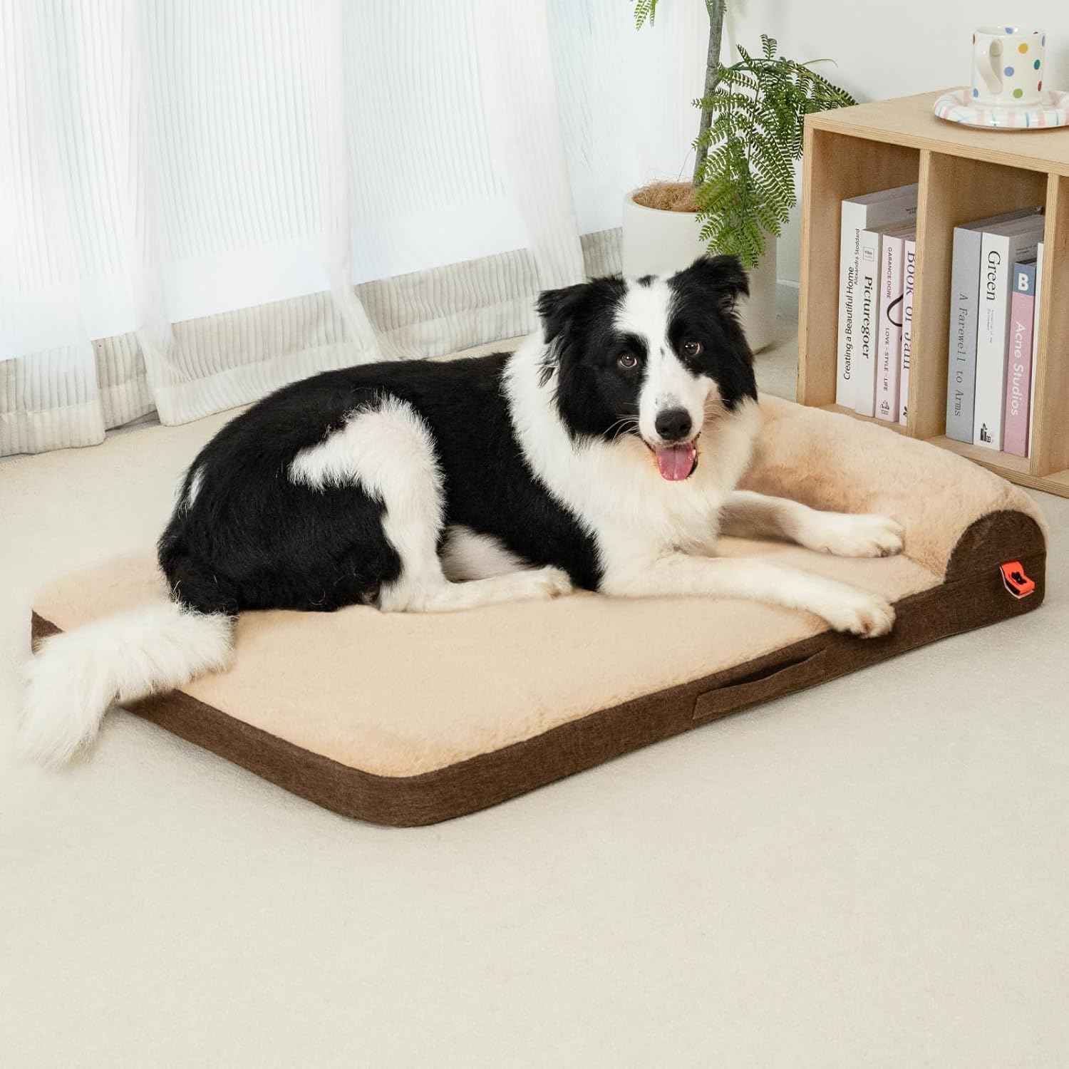 Orthopedic Bolster Dog Bed