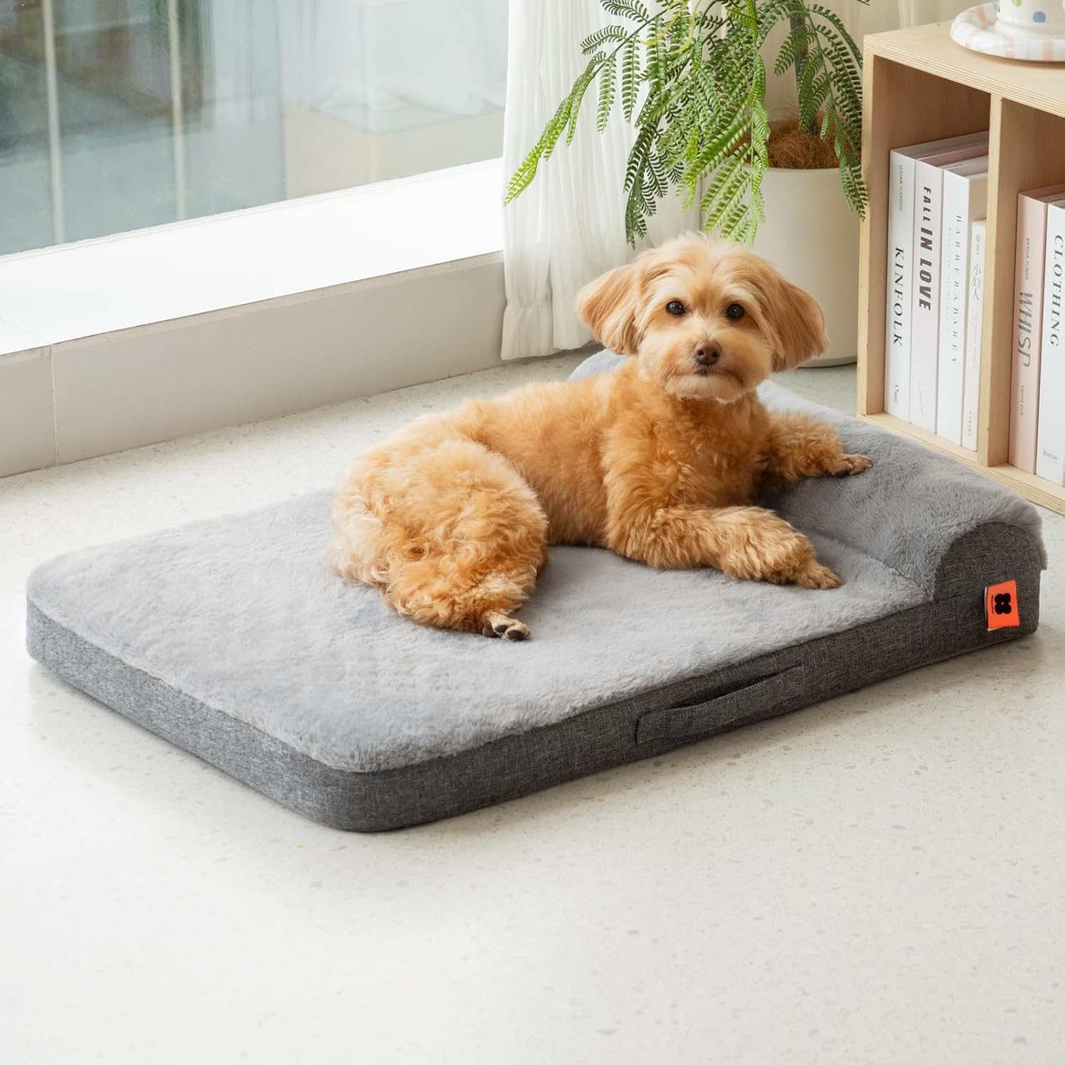 Orthopedic Bolster Dog Bed