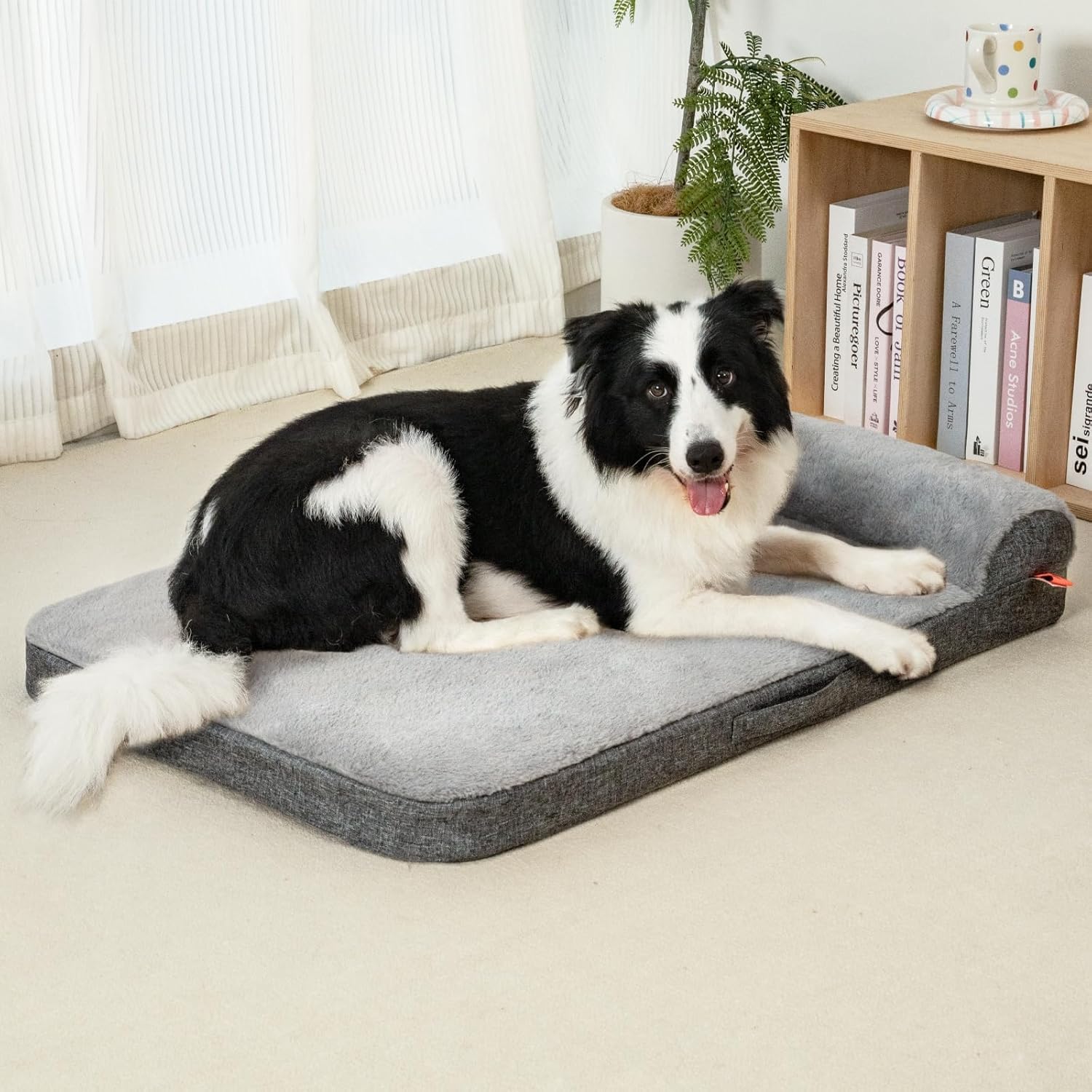 Orthopedic Bolster Dog Bed