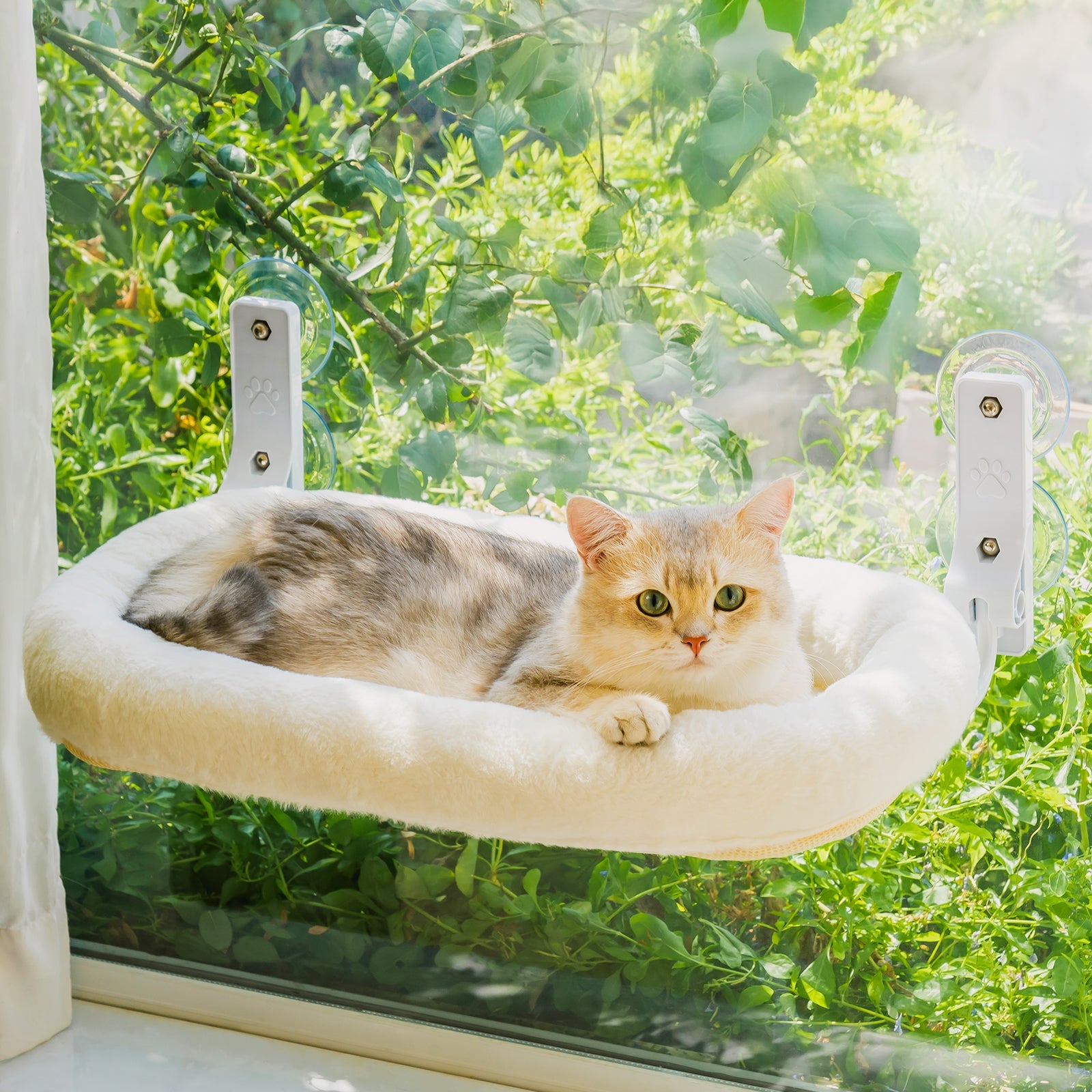 Macaron Foldable Heavy Duty Cat Window Perch