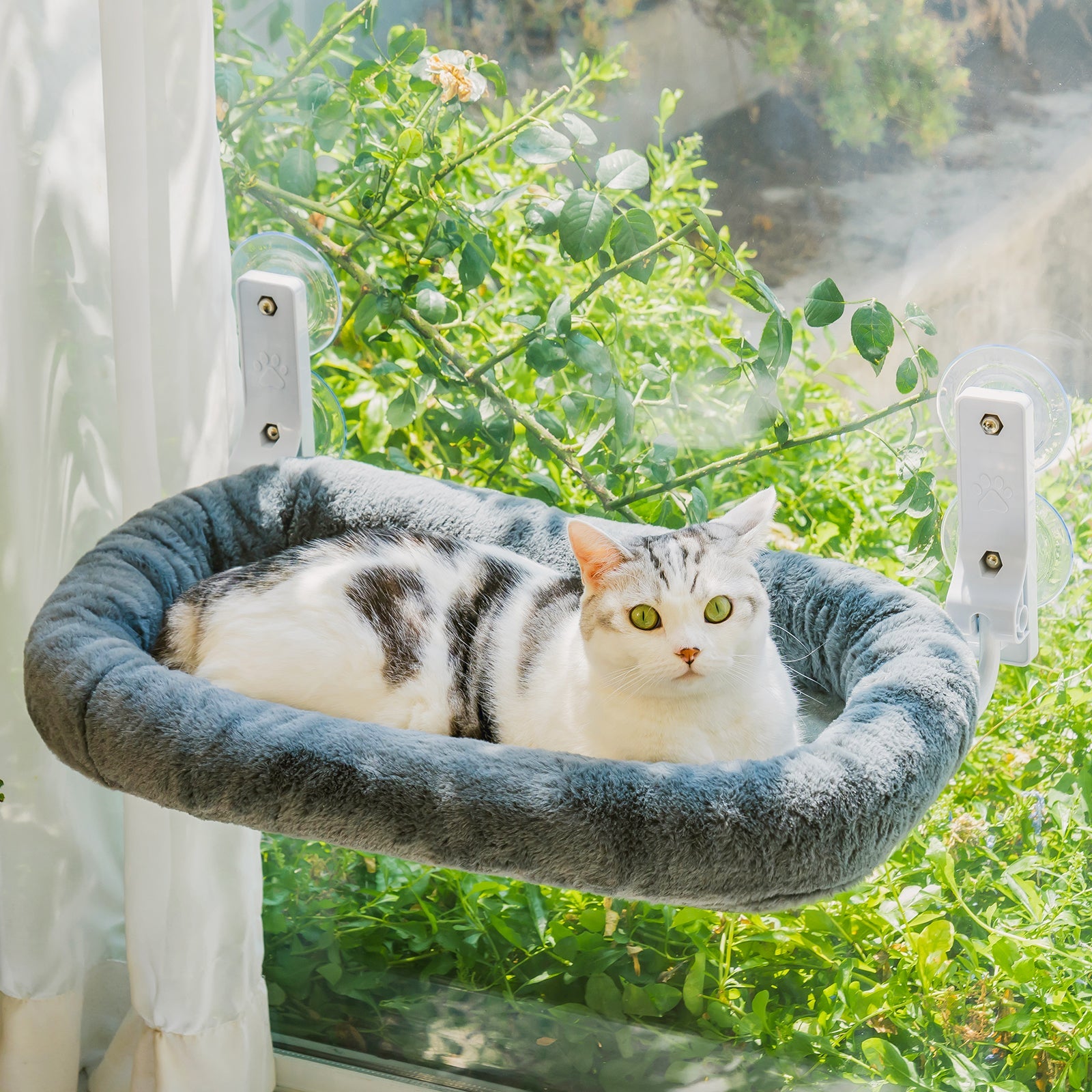 Macaron Foldable Heavy Duty Cat Window Perch