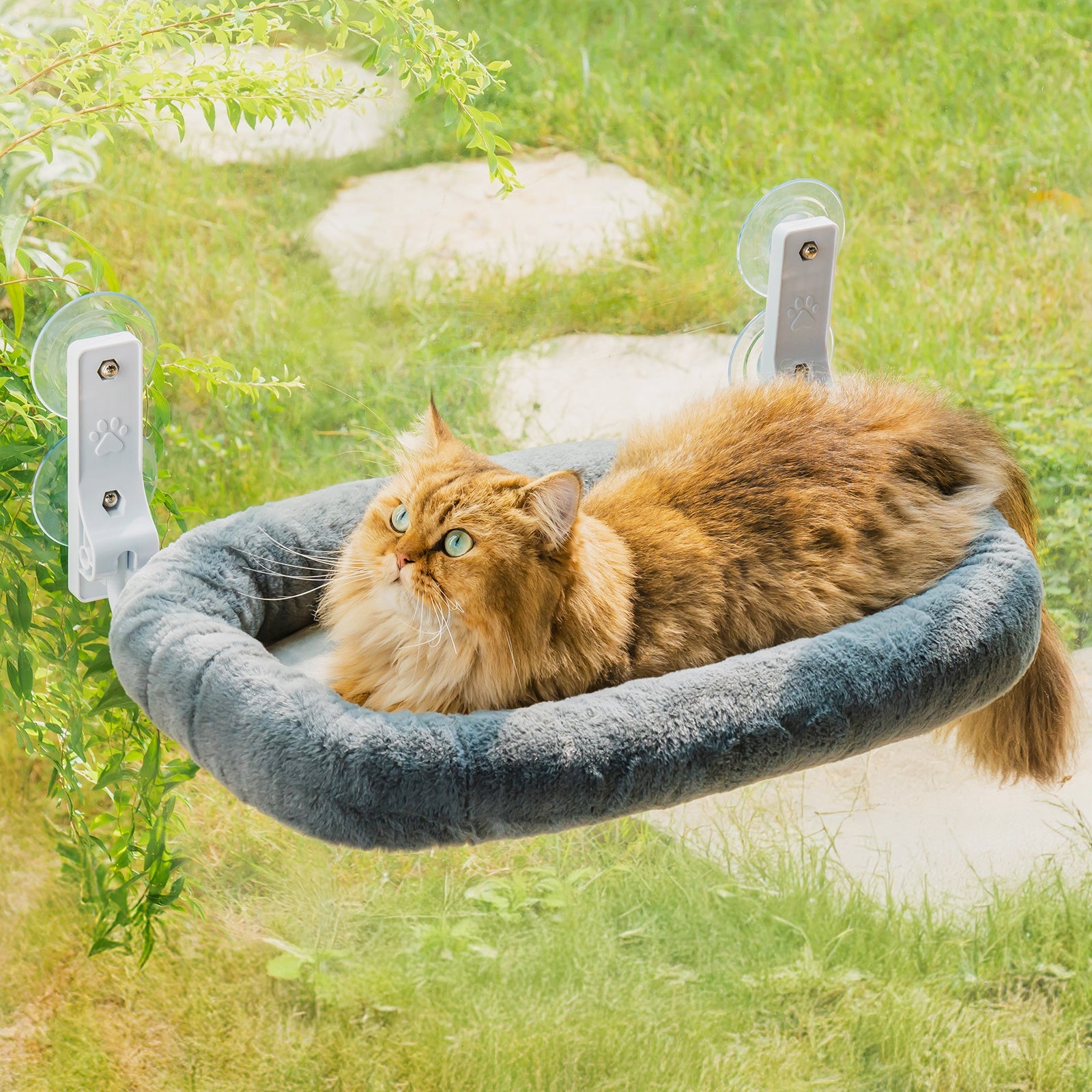 Macaron Foldable Heavy Duty Cat Window Perch