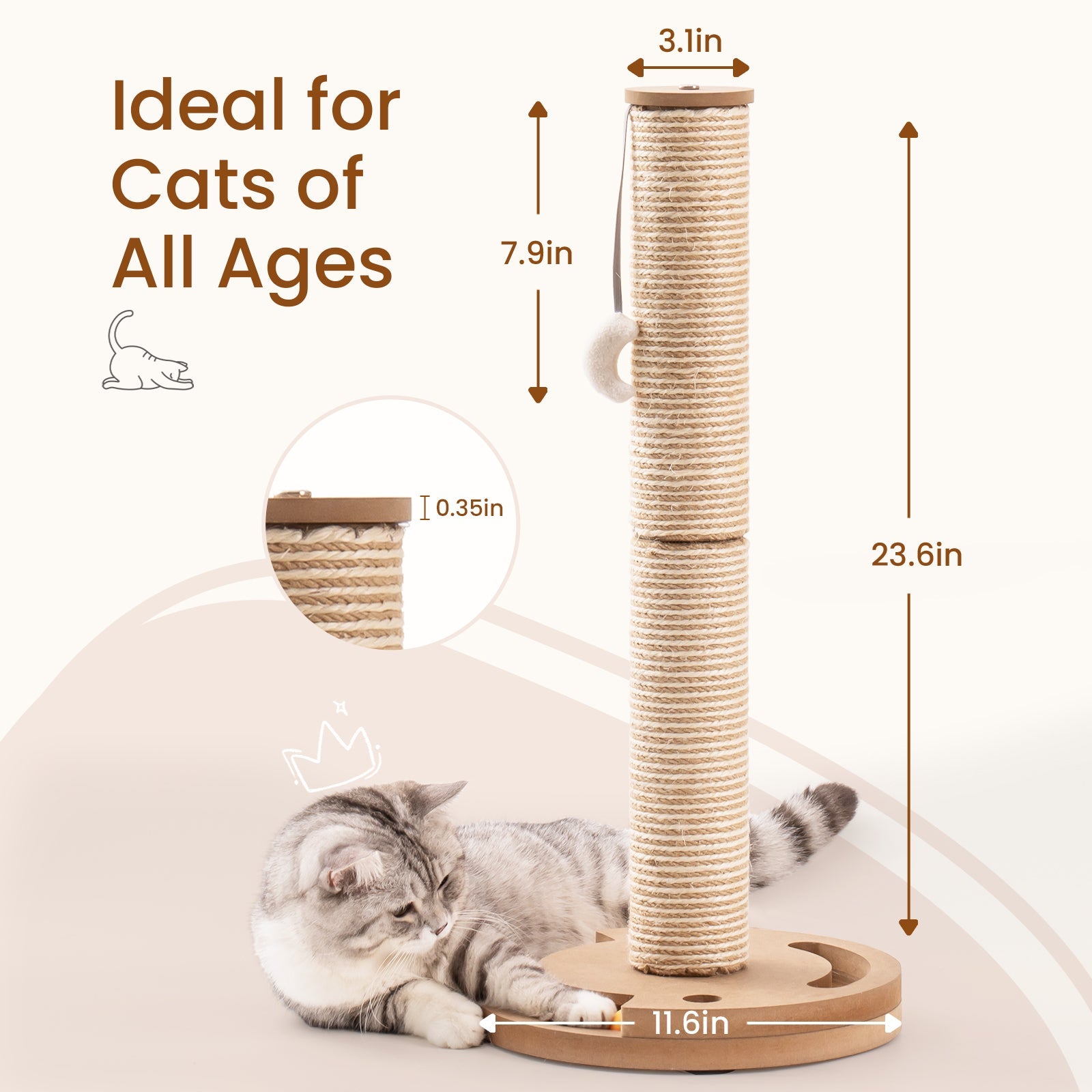 Orbital Ball Cat Scratching Post