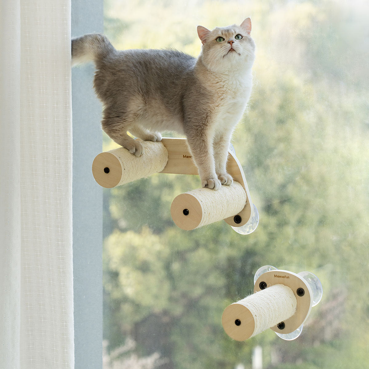 Air Cat Climbing Frame