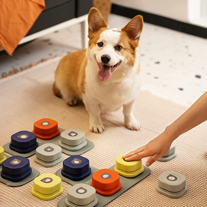 Dog Button for Communication