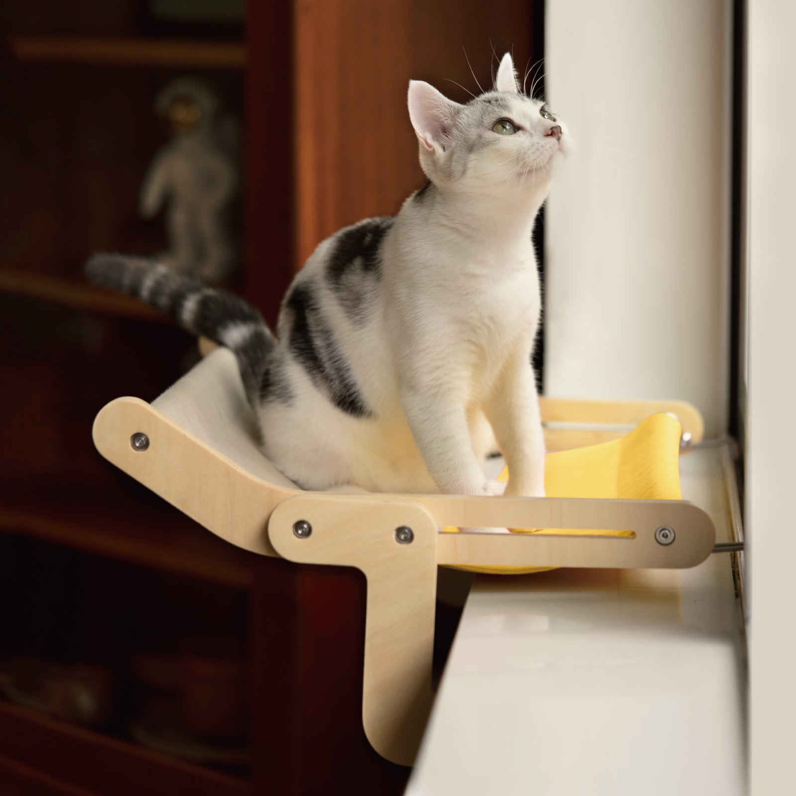 Perchoir pour chat Mewoofun pour fenêtre 