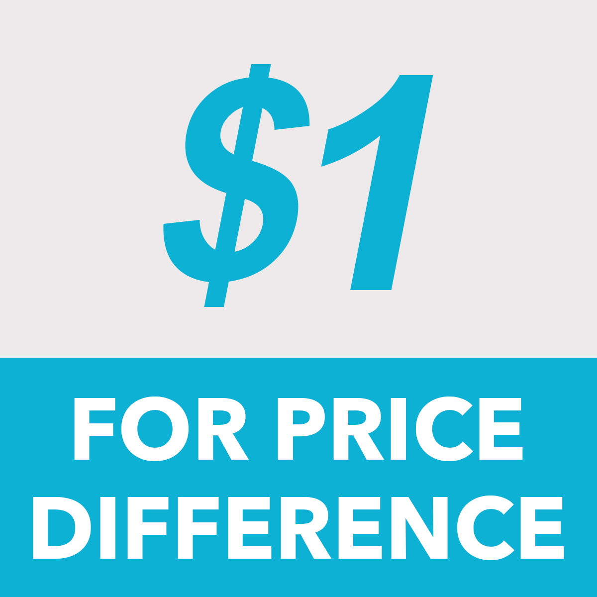 Fill price difference - Special purpose - For payment only - $1