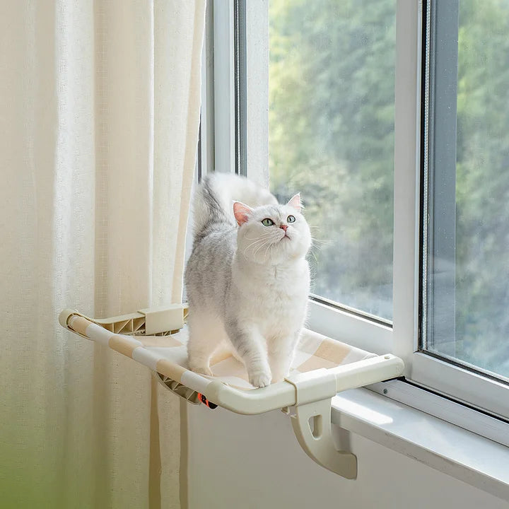 A cat standing on the Mewoofun window perch