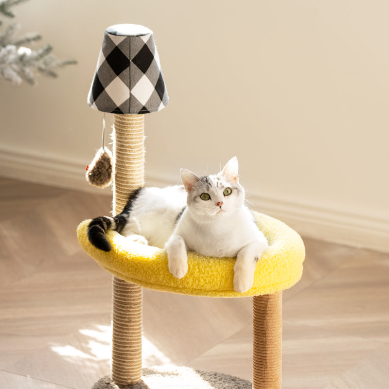 Table Lamp Double Cat Climbing Post