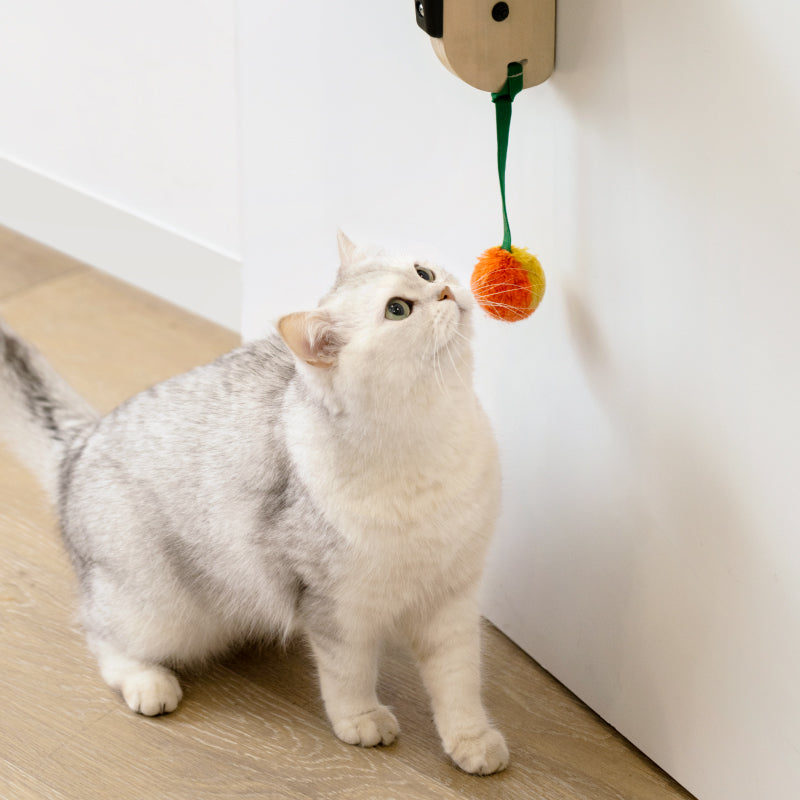 Over door hanging cat toy best sale