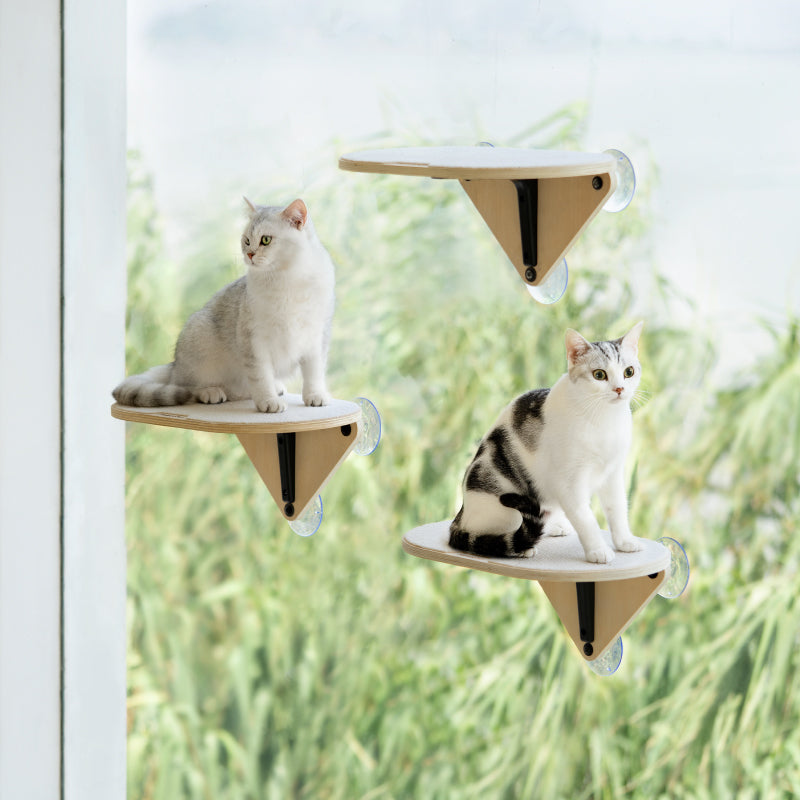 Air Cat Climbing Frame