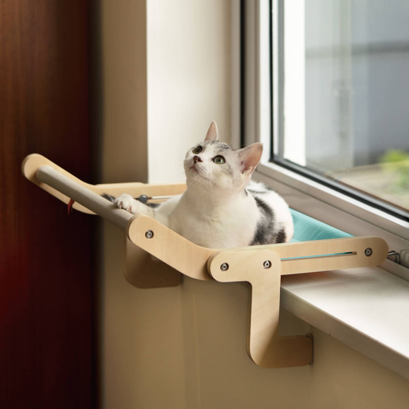 Mewoofun Fenstersitz für Katzen 