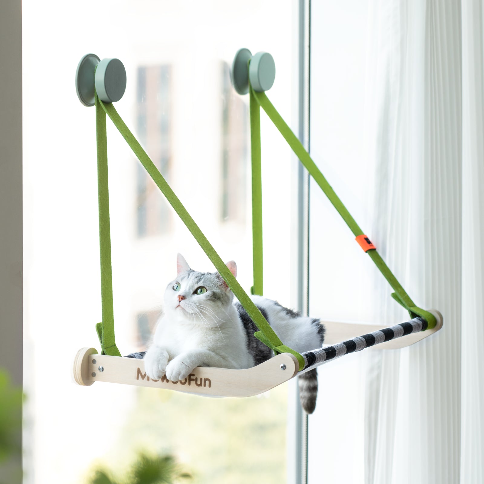 Spring Series Glass Suction Cup Cat Climbing Frame