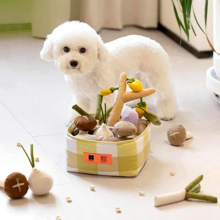 Fun Fruit and Vegetable Bag Snuffle Toy