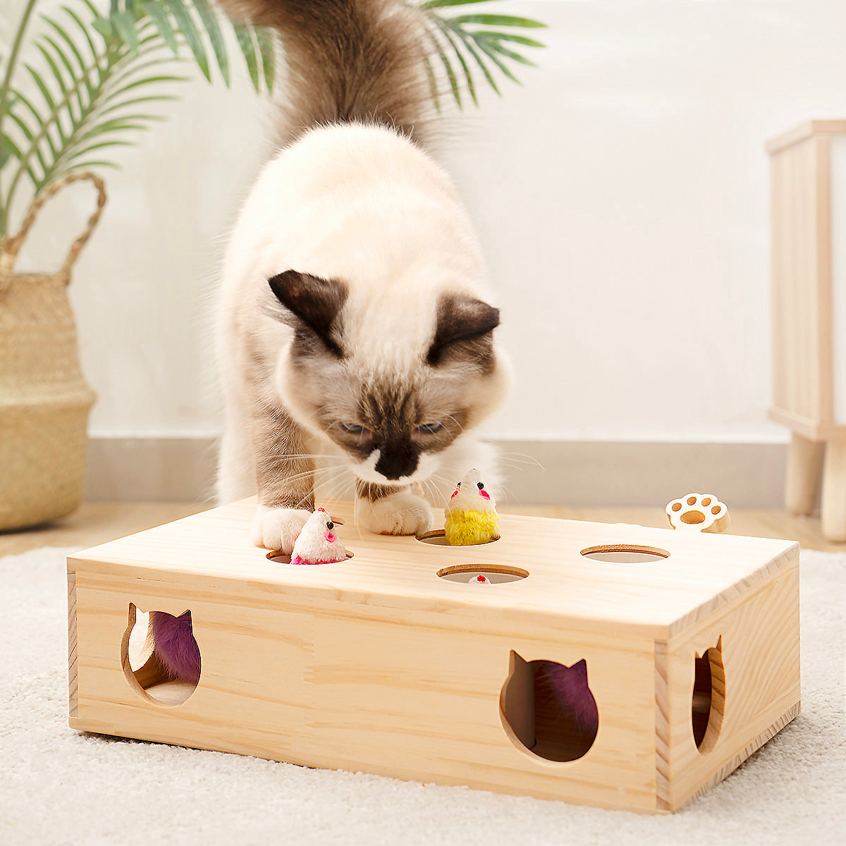 Houten Whac-A-Mole Speelgoed voor Kat